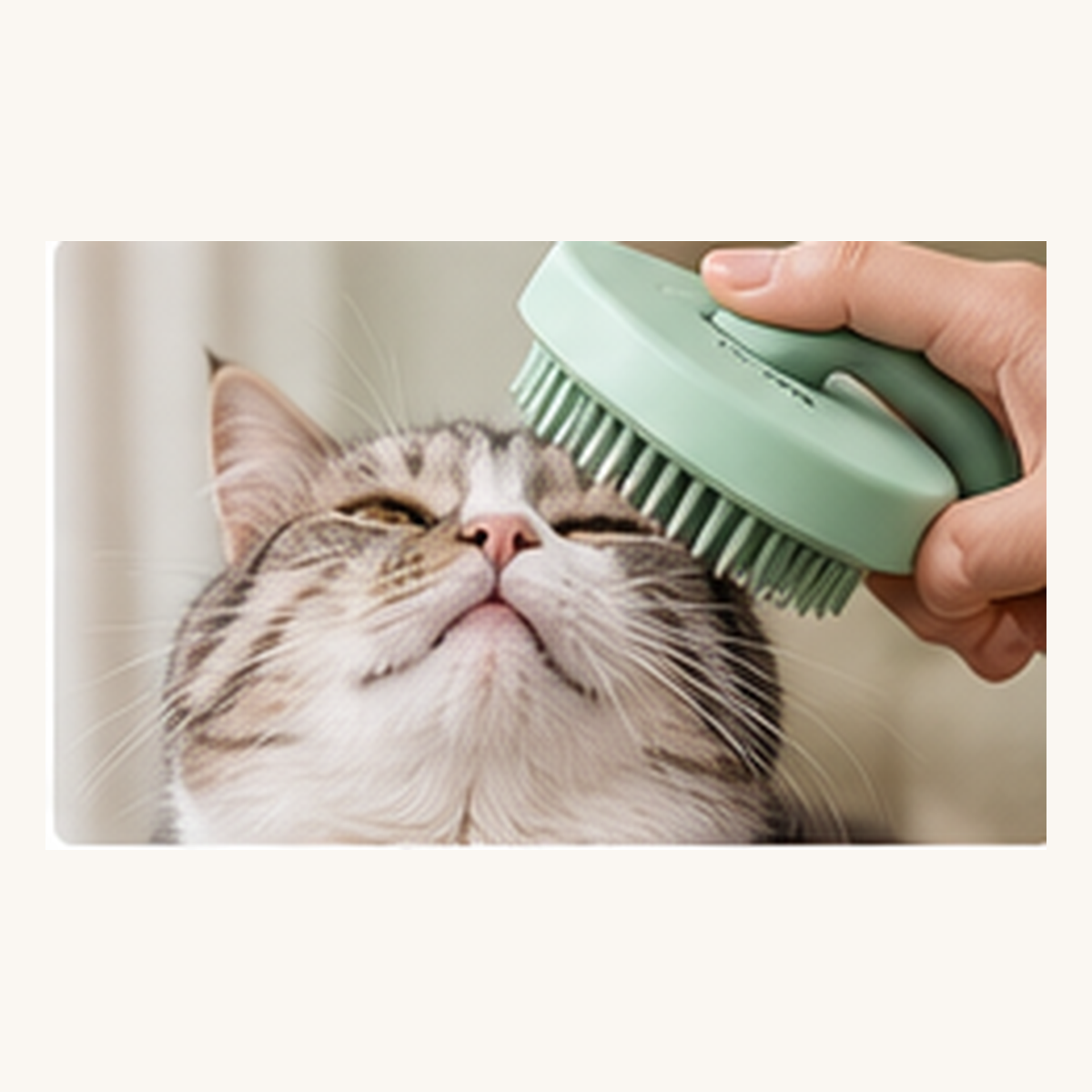 CozyWag cat massage grooming brush
